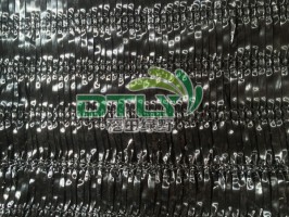 人参麻豆网站视频国产在线观看